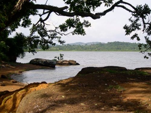 thelookout thelookout